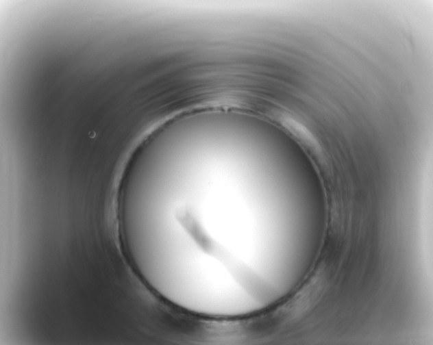 X0000089440800200706221228