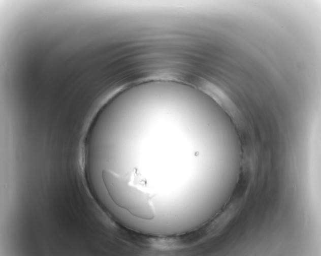 X0000089440804200706221228