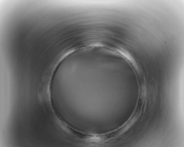 X0000089440806200706221228