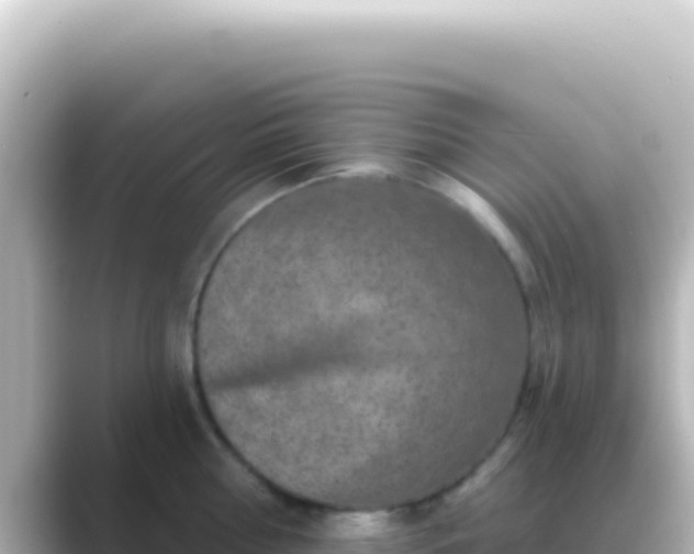 X0000089440810200706221228
