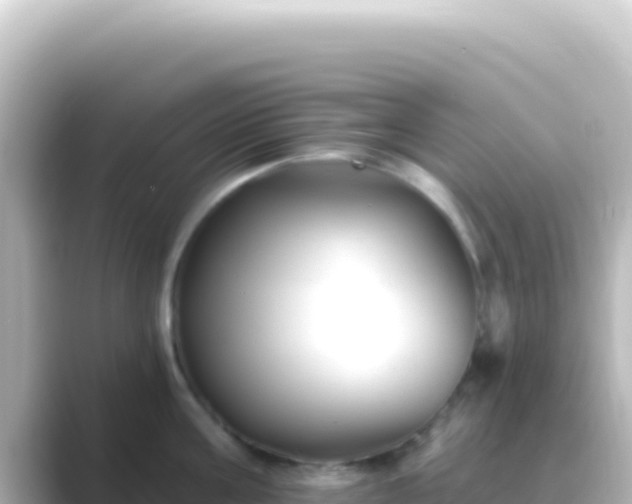 X0000089440811200706221228