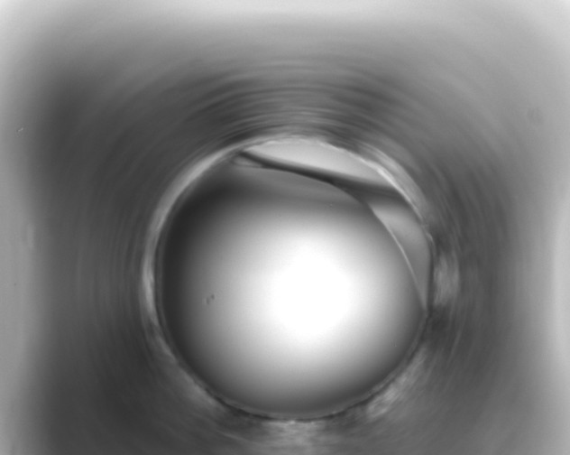 X0000089440812200706221228