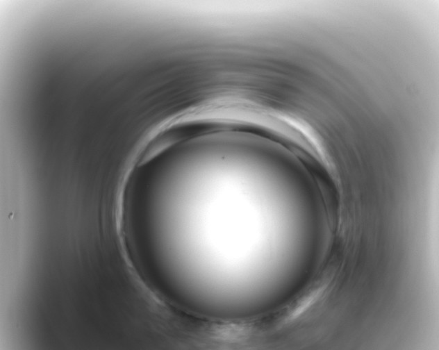 X0000089440815200706221228