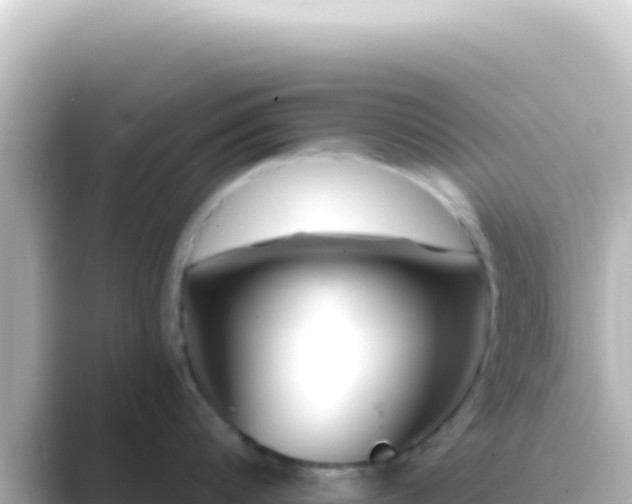 X0000089440816200706221228