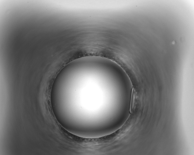 X0000089440817200706221227