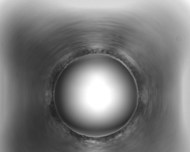 X0000089440821200706221227