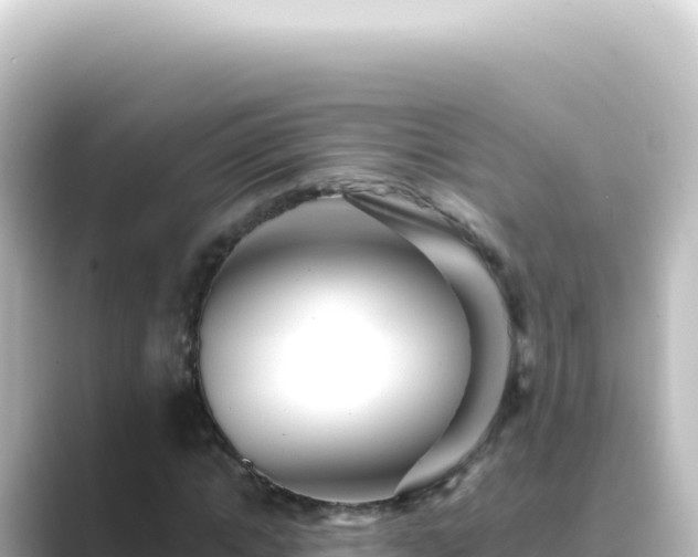 X0000089440822200706221227