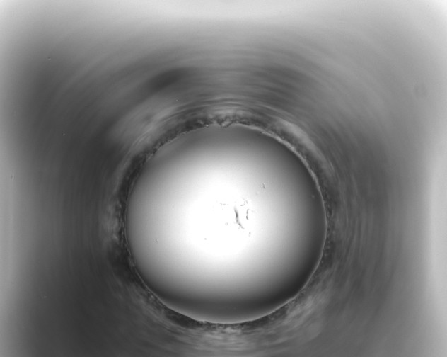 X0000089440823200706221227