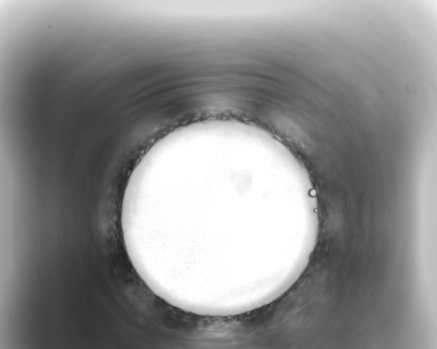 X0000089440824200706221227