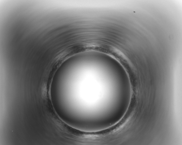 X0000089440825200706221227