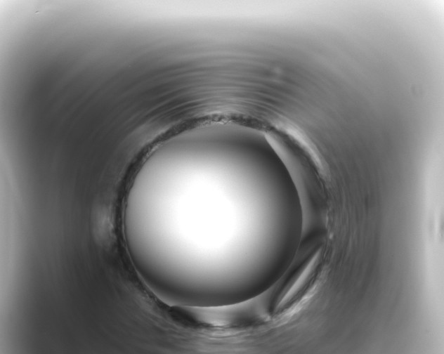 X0000089440826200706221227