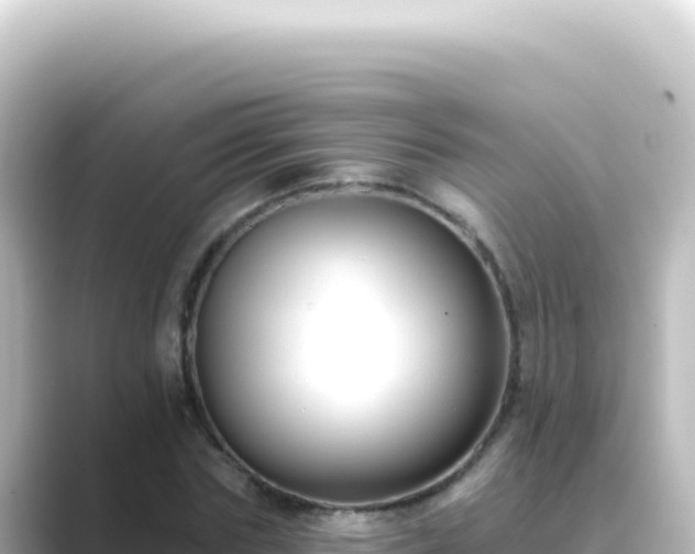 X0000089440827200706221227