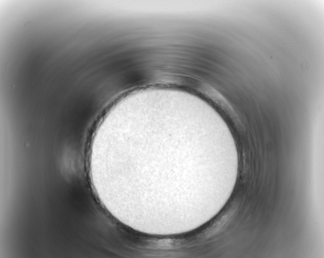 X0000089440828200706221227