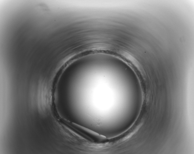 X0000089440829200706221227