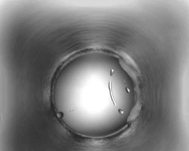 X0000089440831200706221227