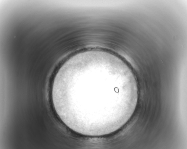 X0000089440832200706221227