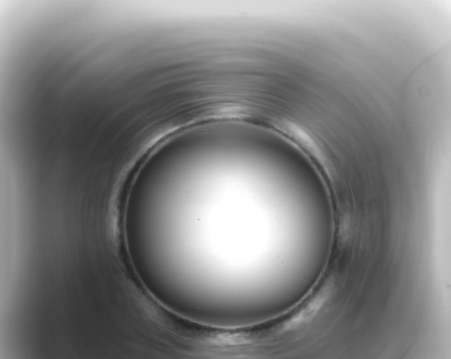 X0000089440835200706221228