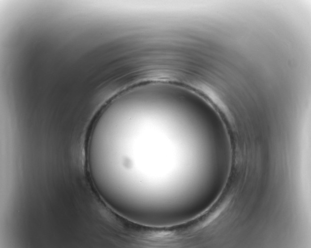 X0000089440837200706221228