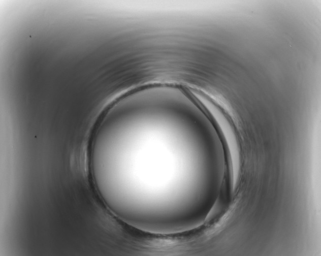 X0000089440838200706221228