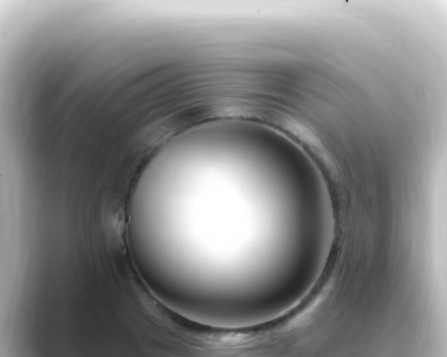 X0000089440841200706221228