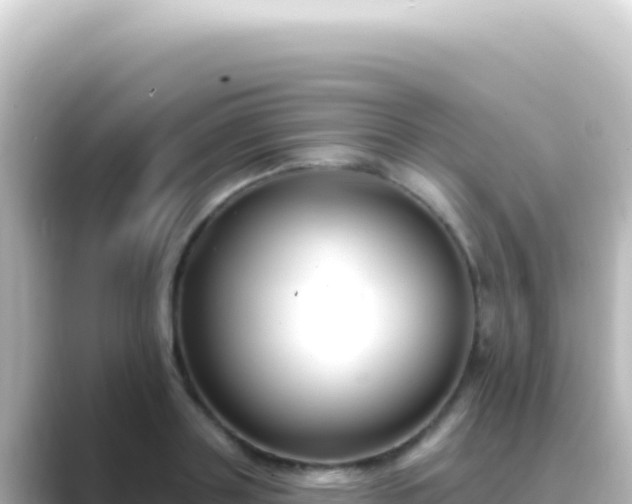X0000089440843200706221228