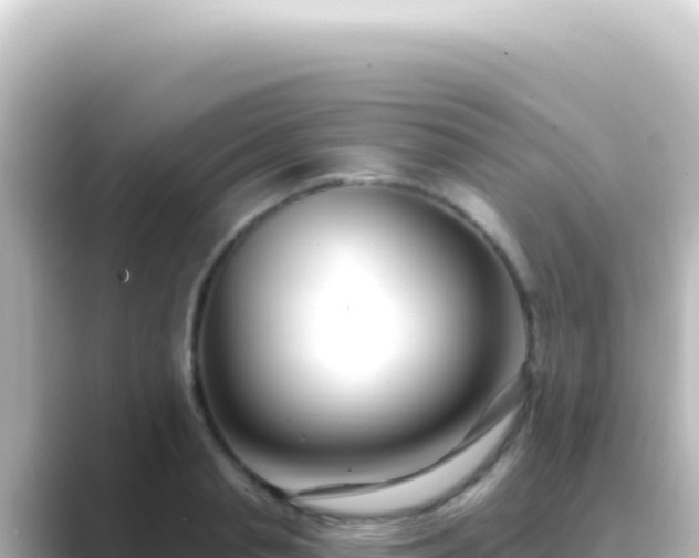 X0000089440845200706221228