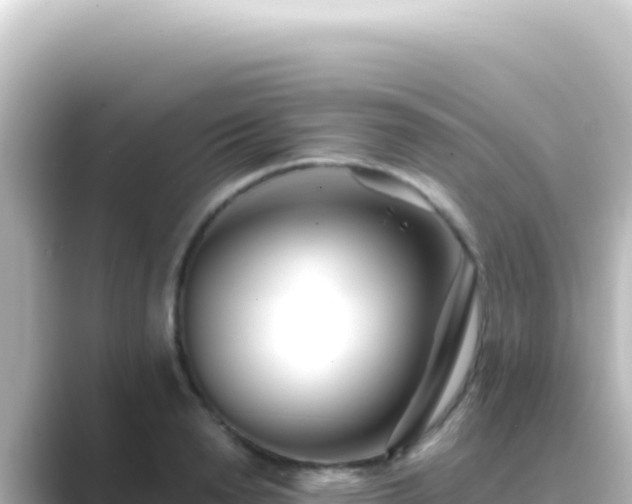X0000089440846200706221228