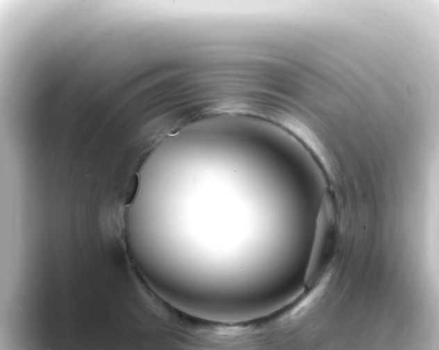 X0000089440849200706221228