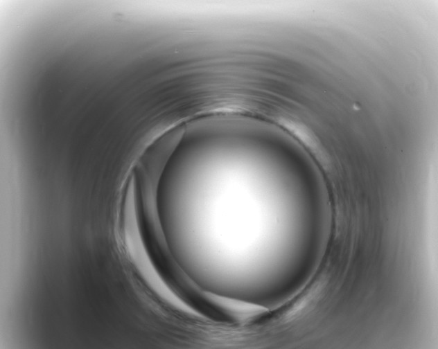 X0000089440850200706221228