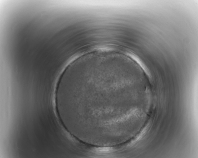 X0000089440853200706221228