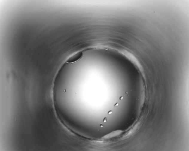 X0000089440855200706221228