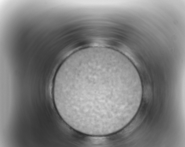 X0000089440856200706221228