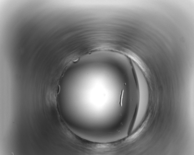 X0000089440857200706221228
