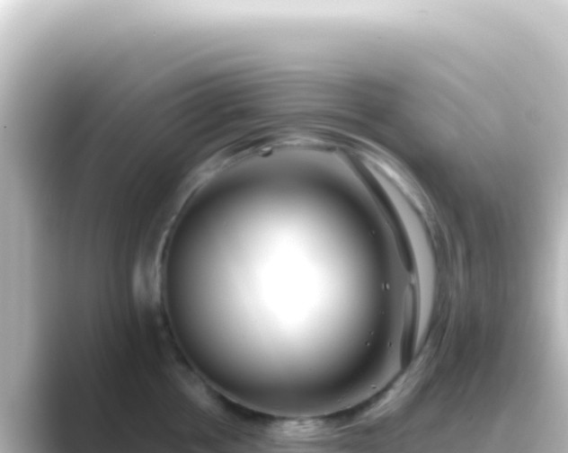 X0000089440858200706221228