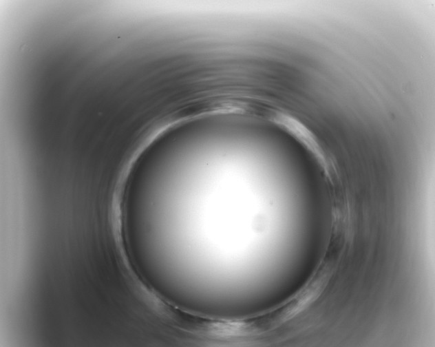 X0000089440859200706221228