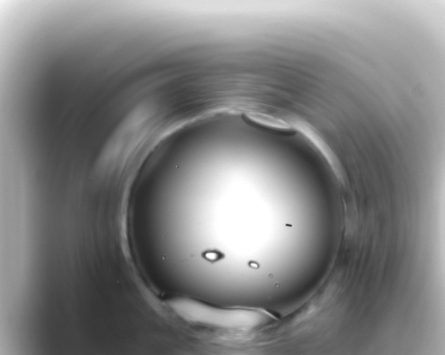 X0000089440861200706221228