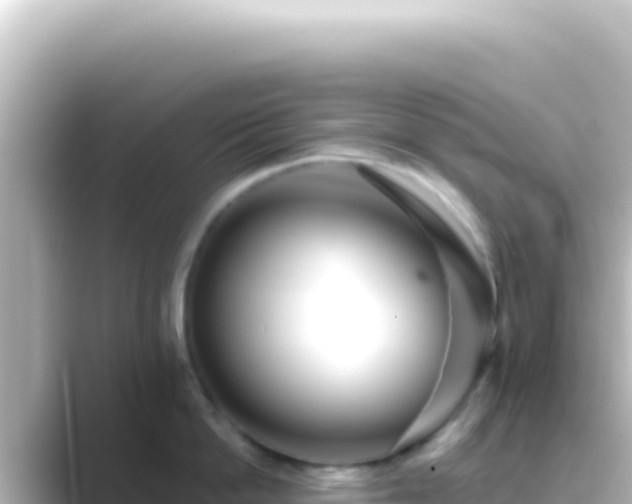 X0000089440862200706221228