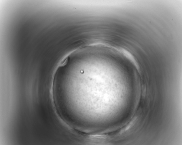 X0000089440863200706221228