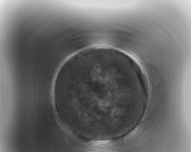X0000089440864200706221228