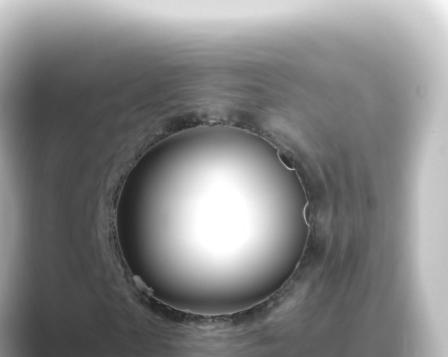 X0000089440865200706221227