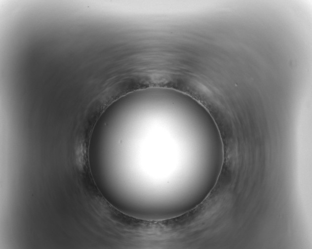 X0000089440866200706221227