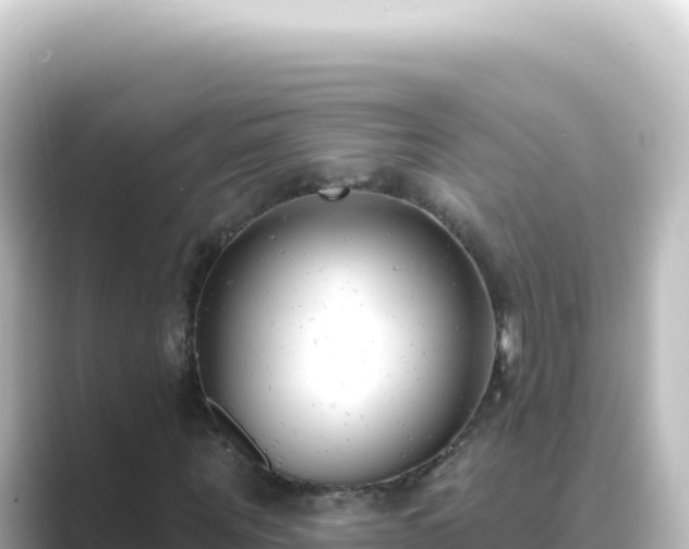 X0000089440867200706221227
