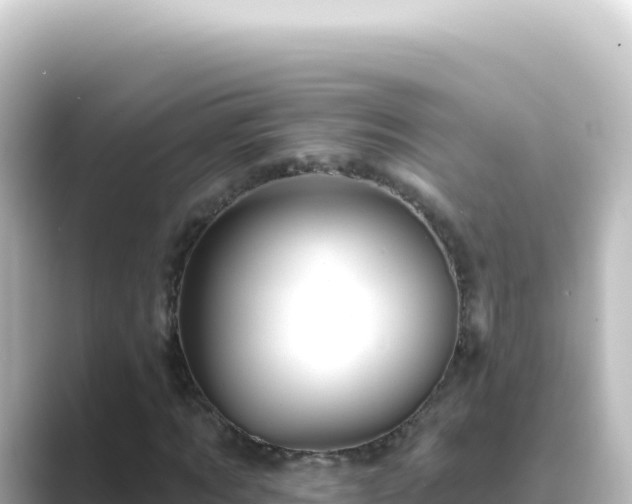 X0000089440869200706221227