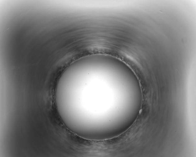 X0000089440870200706221227
