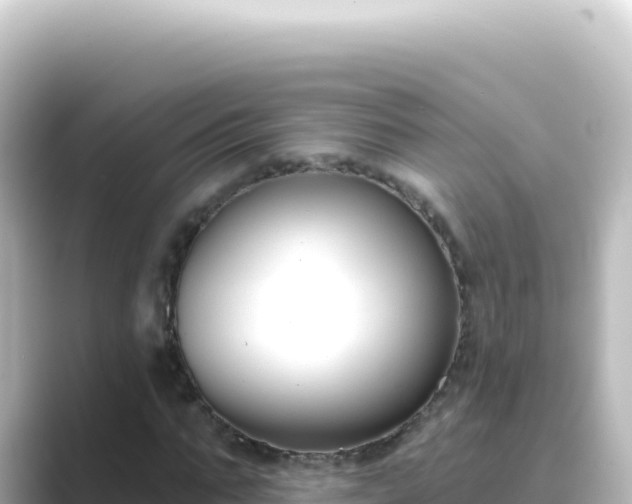 X0000089440871200706221227