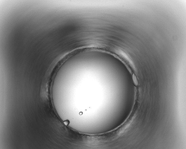 X0000089440875200706221227