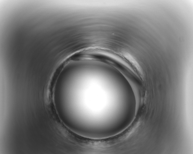 X0000089440876200706221227