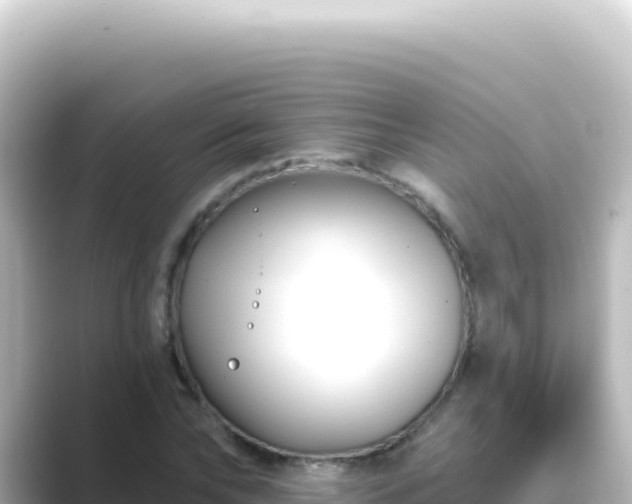 X0000089440878200706221227