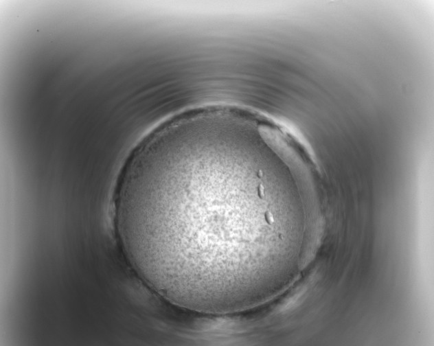 X0000089440879200706221227
