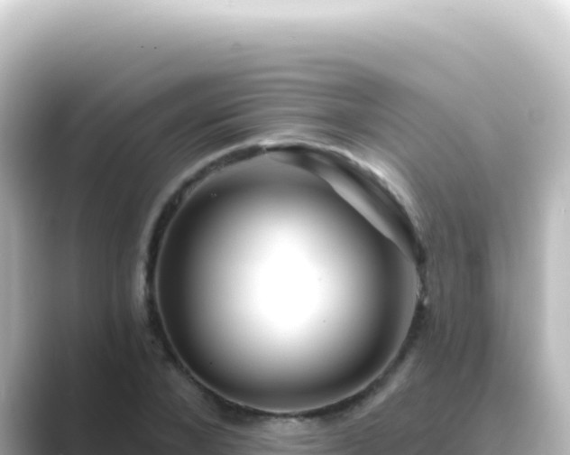 X0000089440880200706221227
